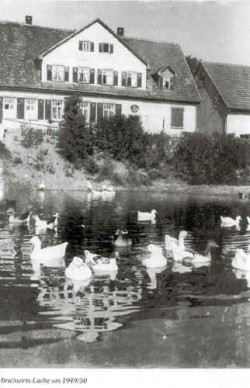 Heldenfingen Gasthaus Hirsch